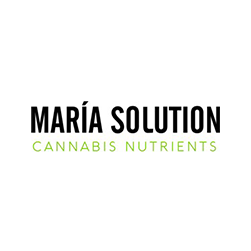 María Solution