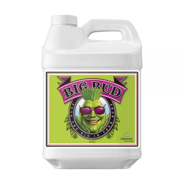 Advanced Nutrients Big Bud Liquid 10L FADV.11