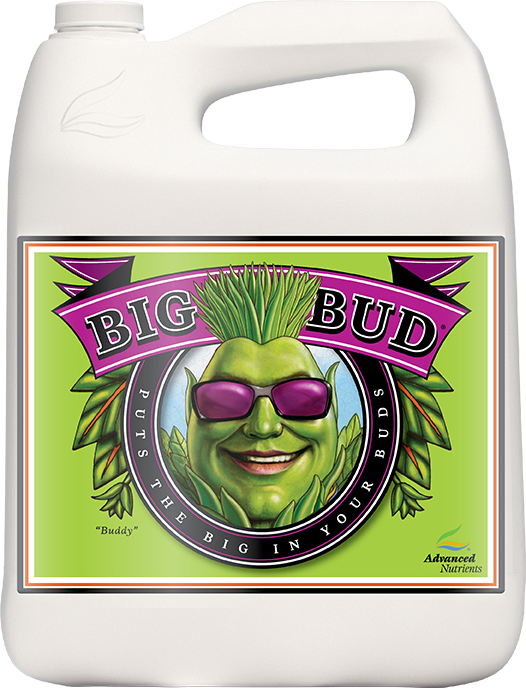 Advanced Nutrients Big Bud Liquid 5L FADV.11 05