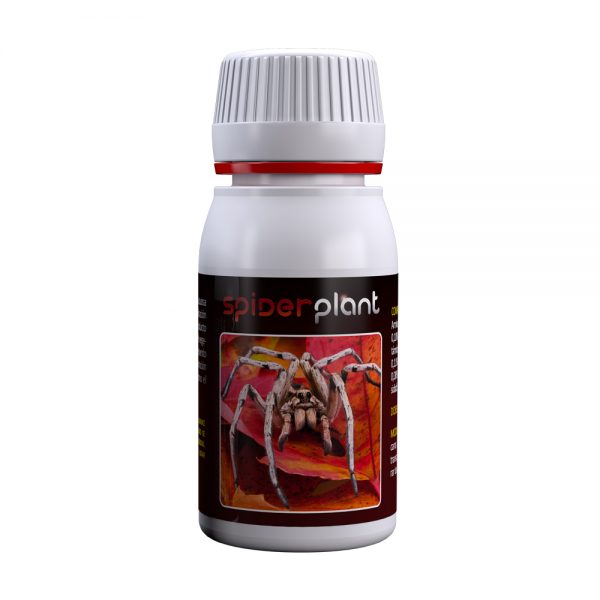 Agrobacterias Spider Plant 60ml FAB.013 060