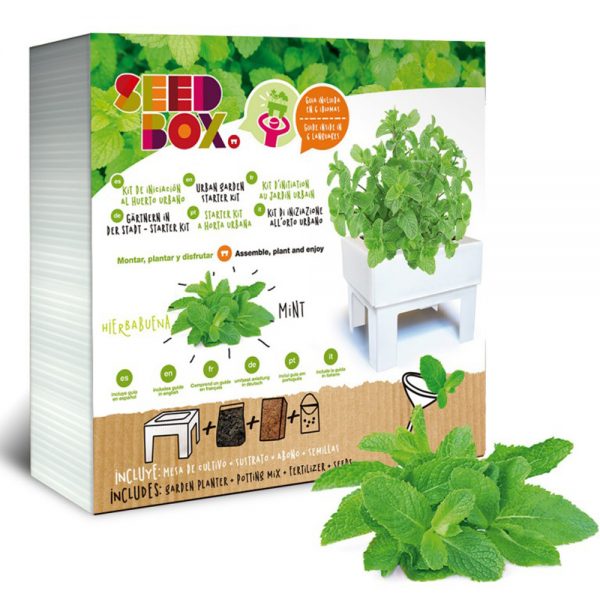 Eco Hortum Seed Box Hierbabuena HUER.02 HIER 1