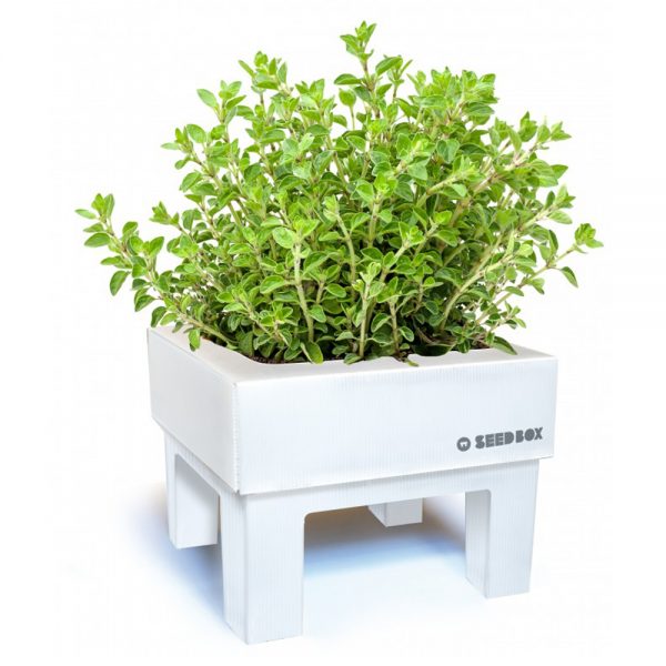 Eco Hortum Seed Box Oregano 2 HUER.02 OREG
