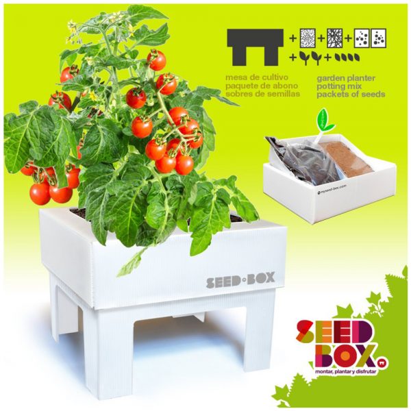 Eco Hortum Seed Box Solanaceas 2 HUER.01 SOL