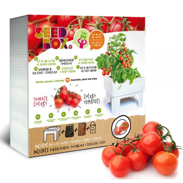 Eco Hortum Seed Box Tomate Cherry HUER.02 CHERRY