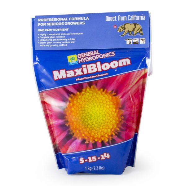 Ghe Maxi Bloom 1kg FGHE.025 1BL